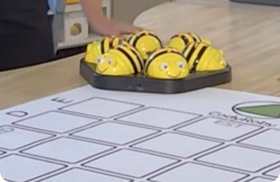 Bee